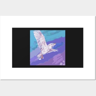 Jonathan Livingston Seagull Posters and Art